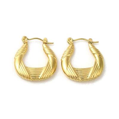 304 Stainless Steel Hoop Earrings for Women