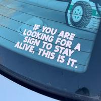 Car Sticker, Bumper Sticker, Funny Reflective Car Vinyl Decal Sticker, Personalized Decal for Car/Truck/Room/Cup Decor, Car D...