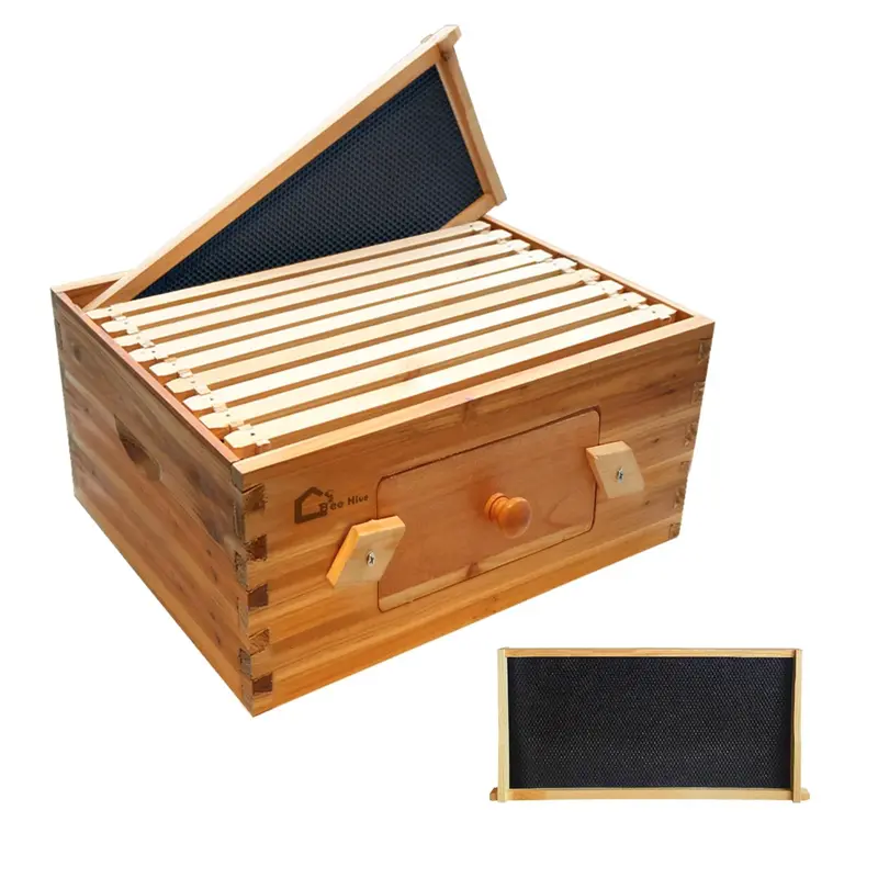 Garvee 10-Frame Deep Brood Bee Hive Box Langstroth Compatible Transparent Acrylic Window Heavy-Duty Beeswax Coated Cedarwood ...