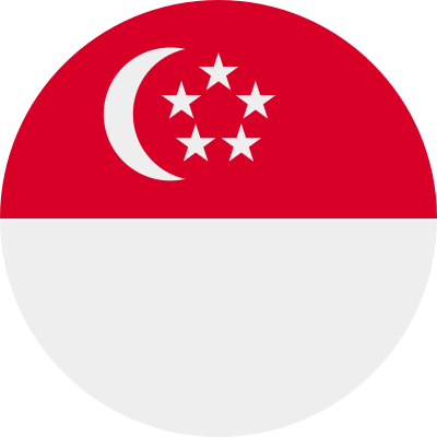 SG 3.07GB for 30 days