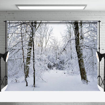 White Forest Snow Natural Scenery Photo Backdrop - Aperturee