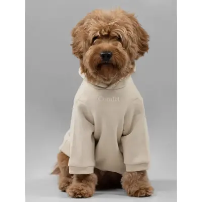 Comfrt | Signature Paw Hoodie | For Stress & Anxiety