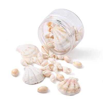 54 Pcs Natural Dyed Scallop Shell Beads Set