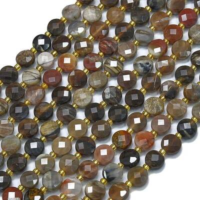 Natural Petrified Wood Beads Strands