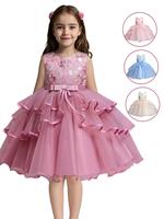 Girls' Flower Embroidery Belted Tulle Tutu Dress, Elegant Sleeveless Round Neck Formal Dress for Party Wedding Guest, Kids Cl...