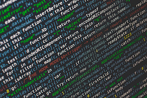 JavaScript for Dynamic and Interactive Web Pages