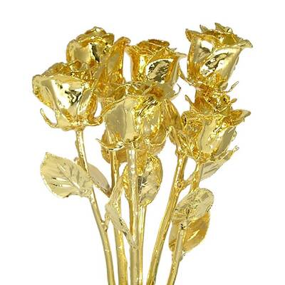 Six 11 24kt Dipped Real Rose Bouquet