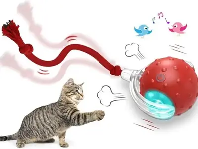 Interactive Cat Toys Ball for Indoor Cats Fast Rolling on Carpet, Chirping & Motion Activate Cat Toys