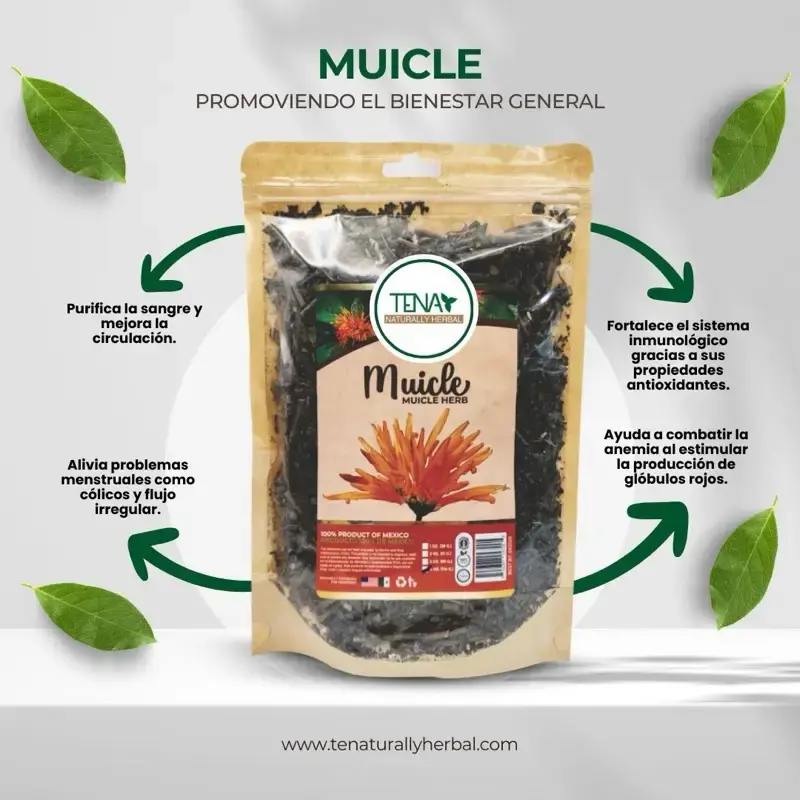 Muicle Herb Premium 4 oz Herbal Tea Bag – Supports Circulation & Promotes General Wellness – Naturally Caffeine-Free Beve...