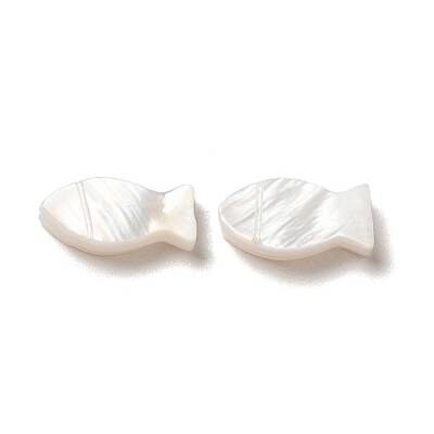 Natural Freshwater Shell Beads