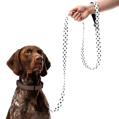 Memory Lane Pet Leash - Cherish Every Step