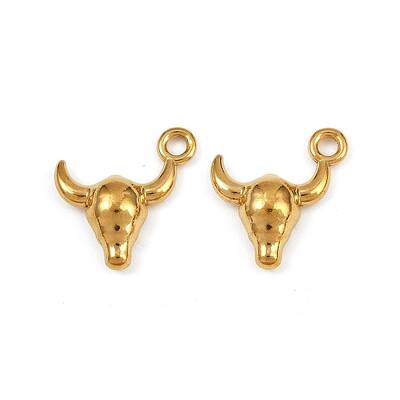 304 Stainless Steel Charms