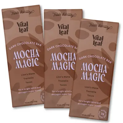 (3-PACK) Mocha Magic Dark Chocolate Mushroom Bar: Brain + Sharp Focus + Collagen Boost  |  Lion's Mane, Chaga, Reishi, Cocoa,...
