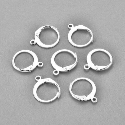 304 Stainless Steel Leverback Earring Findings