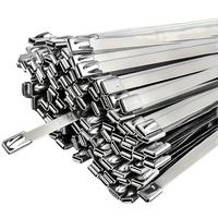Modern Stainless Steel Cable Ties, 100pcs Multipurpose Self-locking Cable Ties, Heat Resistant Cable Ties for Mechanical, Veh...