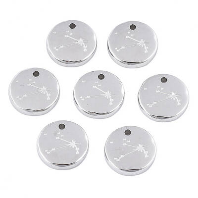 Non-Tarnish 316 Surgical Stainless Steel Charms