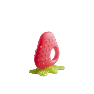 Fruit Teething Toy