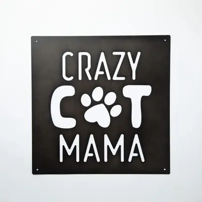 Cat Lover Outdoor Wall Decor Sign - One Cat Short of Crazy