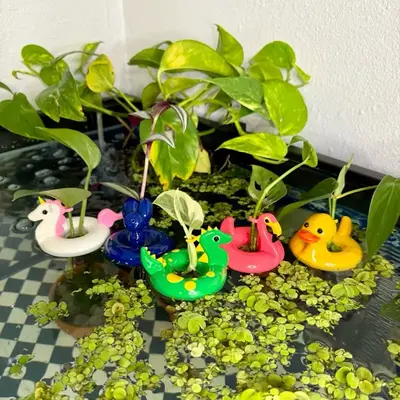 Aquabuds - Propagation Floaties - for aquarium propagation - unicorn flamingo dinosaur balloon