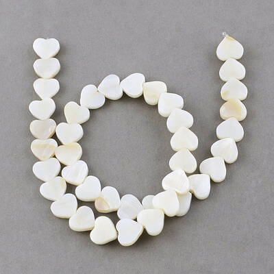 Natural Sea Shell Beads Strands