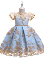 Girl's Floral Embroidery Bow Decor Satin Dress, Elegant Zipper Back A Line Dress for Party Performance Wedding Guest, Kids Cl...
