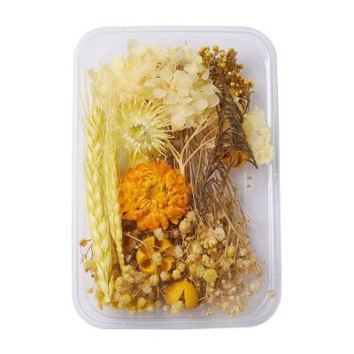 Dried Flowers