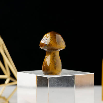 Natural Tiger Eye Mushromm Statue