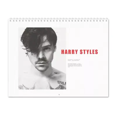 Harry  Revolution 2025 Calendar