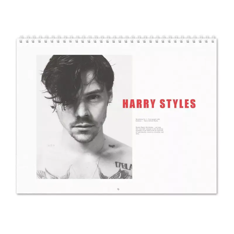 Harry  Revolution 2025 Calendar
