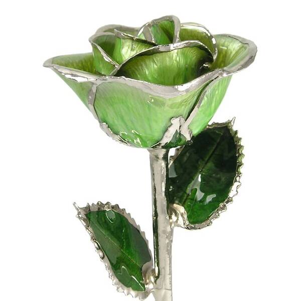 Platinum Trimmed Rose: 11 Light Green Rose