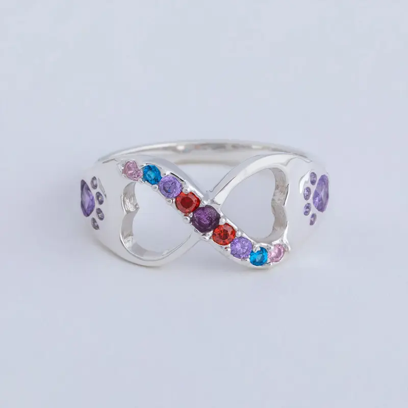 Rainbow Bridge Infinity Paw Print Sterling Ring - 7