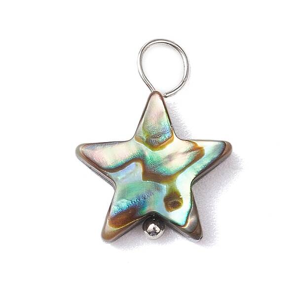 Natural Abalone Shell/Paua Shell Pendants