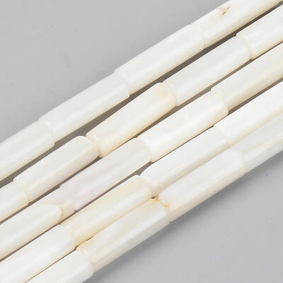 Natural Freshwater Shell Beads Strands