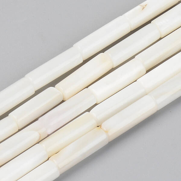 Natural Freshwater Shell Beads Strands