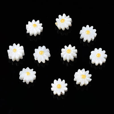 Natural Freshwater Shell Beads