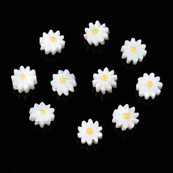 Natural Freshwater Shell Beads