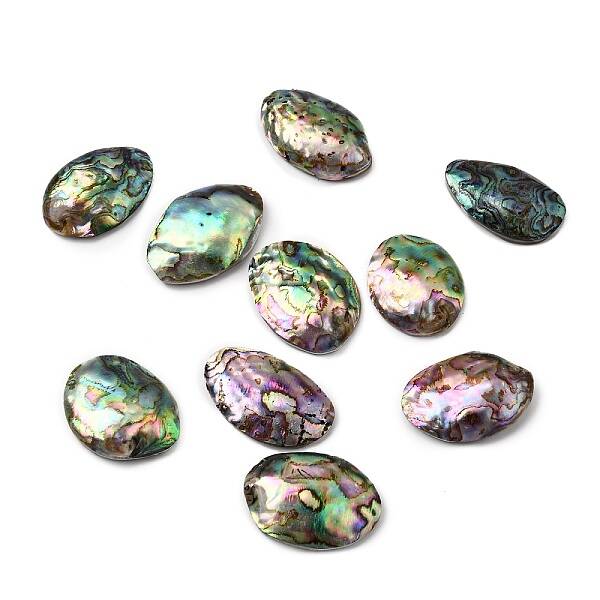 Natural Paua Shell Cabochons