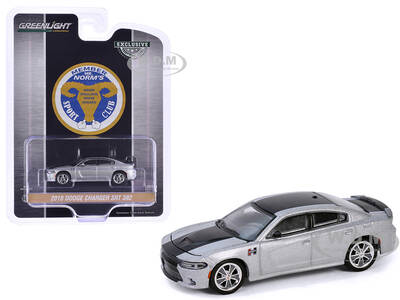 2018 Dodge Charger SRT 392 Silver Metallic with Black Stripe \