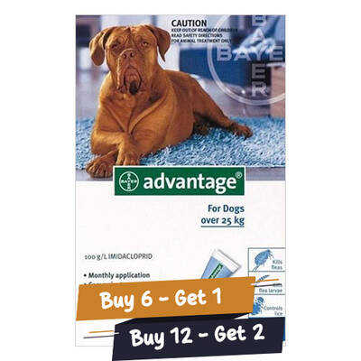 Advantage Extra Large Dogs Over 55 Lbs (Blue) 12 Doses + 2 Free