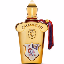 Xerjoff Casamorati 1888 Casafutura EDP 100ml
