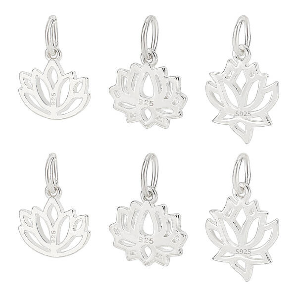 6Pcs 3 Styles 925 Sterling Silver Charms