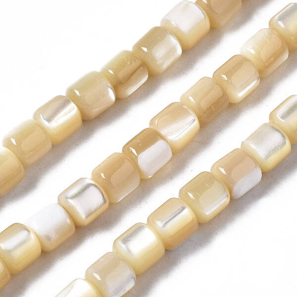 Natural Trochid Shell/Trochus Shell Beads Strands