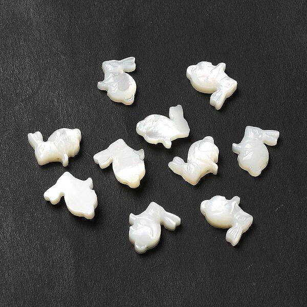 Natural White Shell Beads