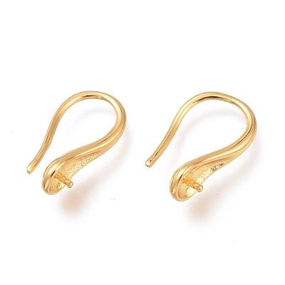 Brass Earring Hooks