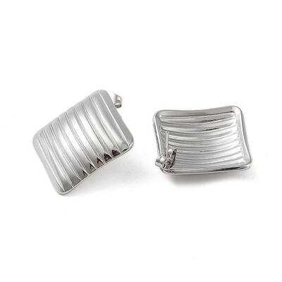 304 Stainless Steel Earrings