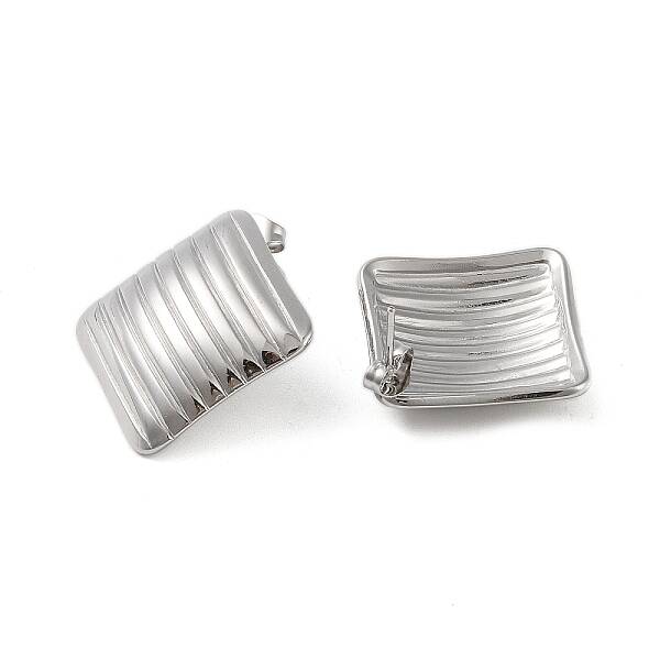 304 Stainless Steel Earrings
