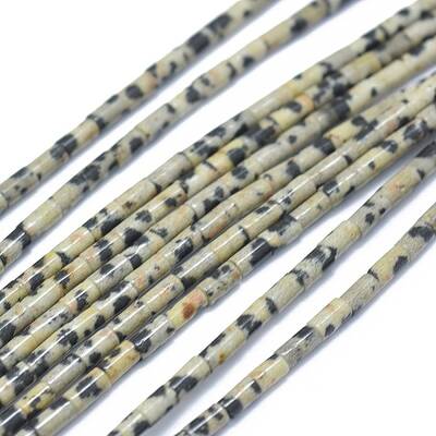 Natural Dalmatian Jasper Beads Strands