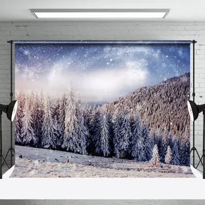 Natural Winter Scene Photography Backdrop Photo Shoot - Aperturee