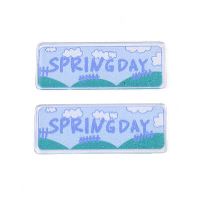 Transparent Printed Acrylic Cabochons