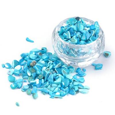 Natural Sea Shell Beads